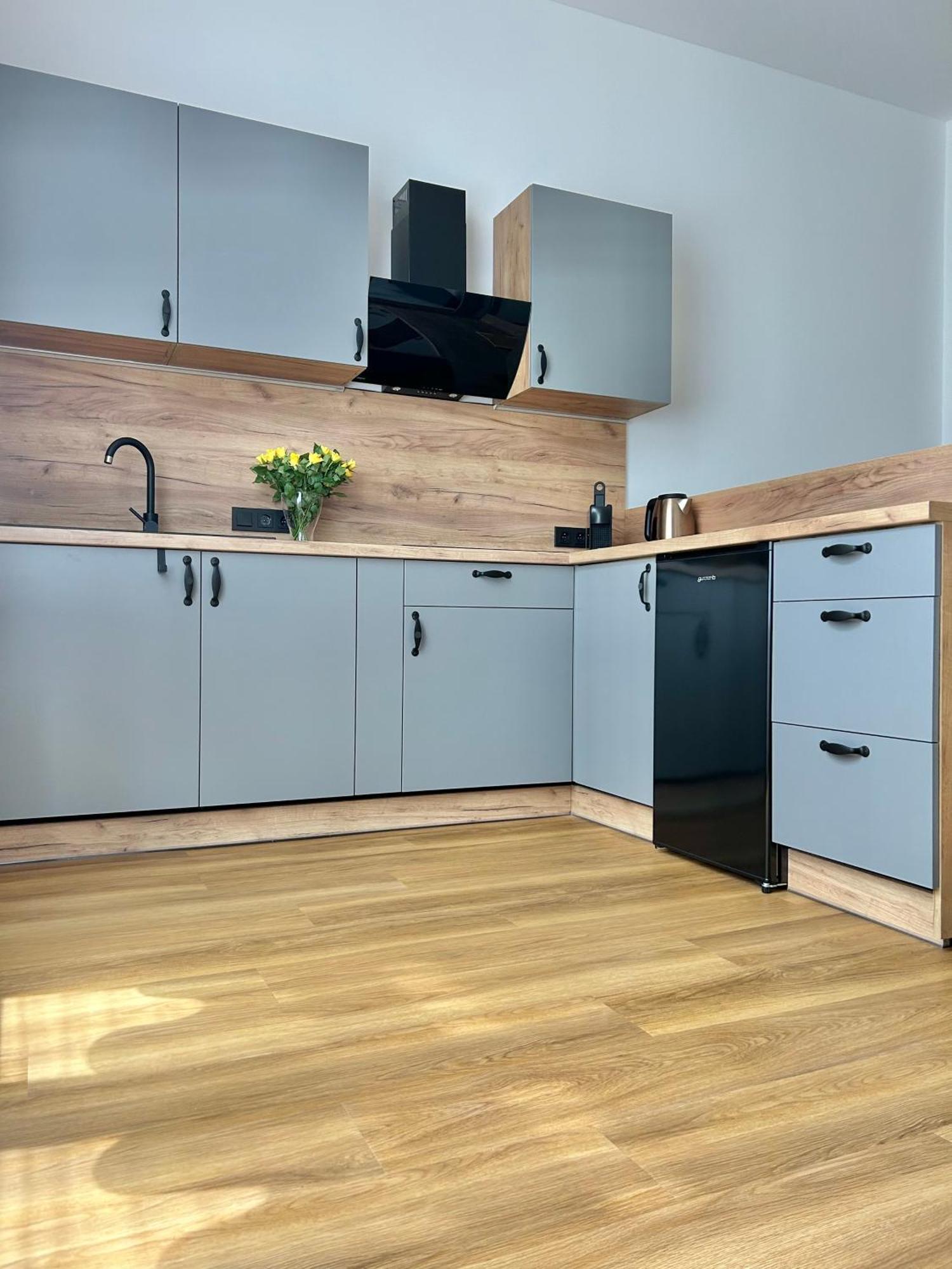 Apartment Dita Карлові Вари Екстер'єр фото