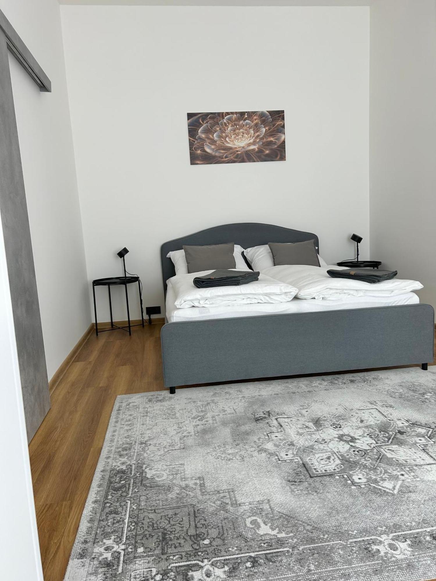Apartment Dita Карлові Вари Екстер'єр фото
